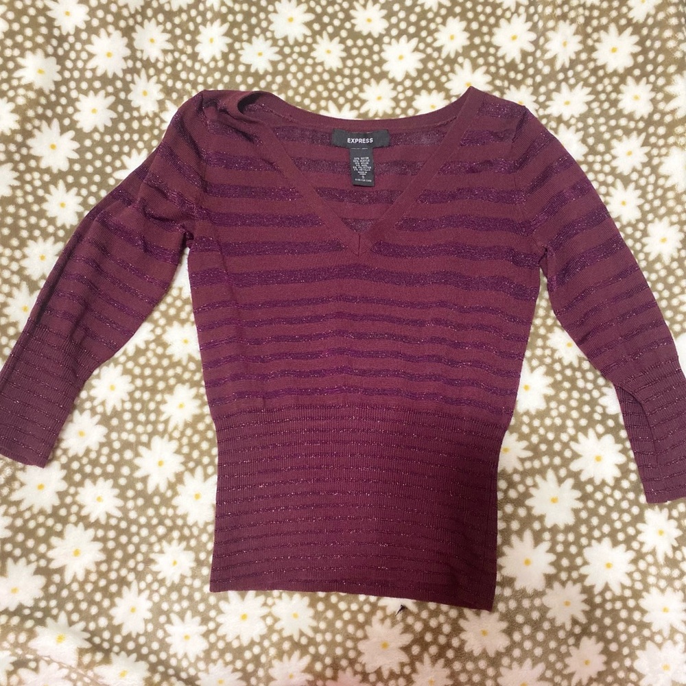 Express Burgundy and Purple V-Neck Sweater